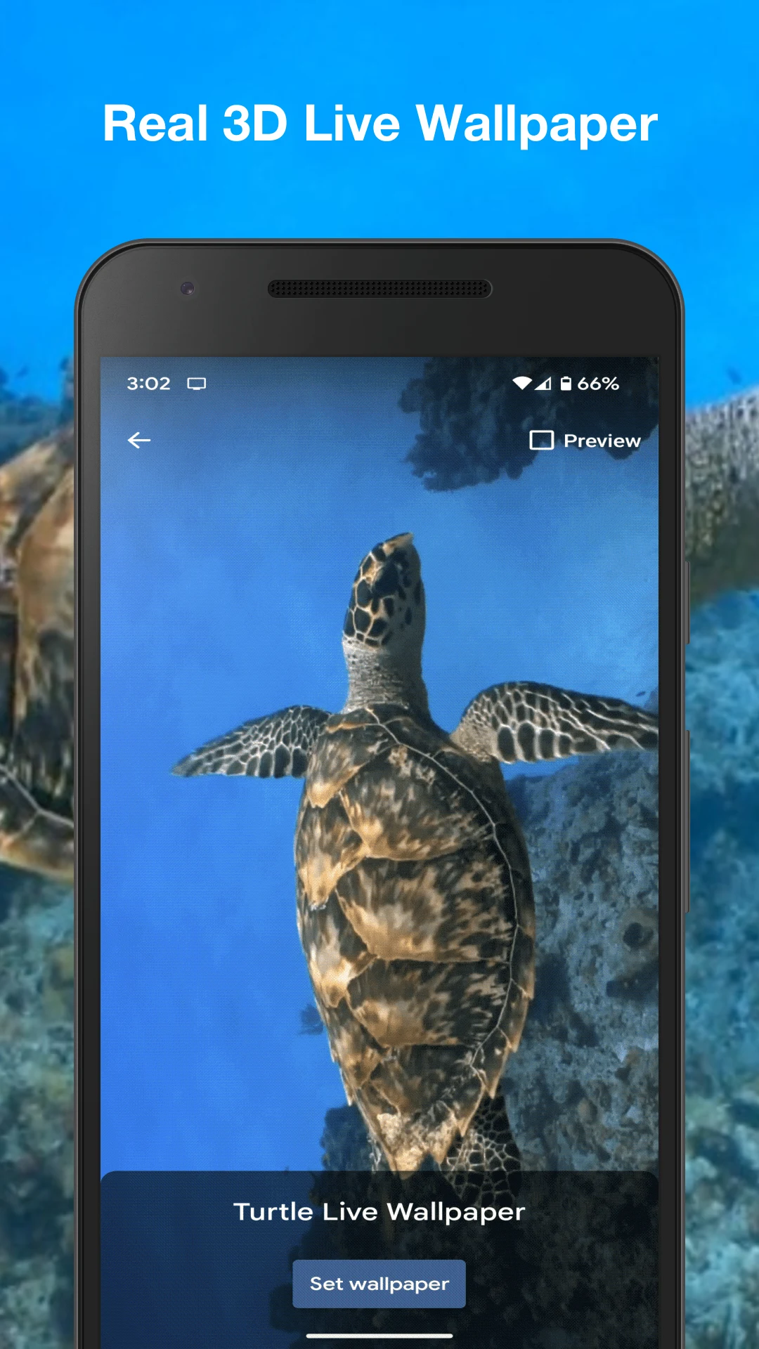 Turtle Live Wallpaper screenshot