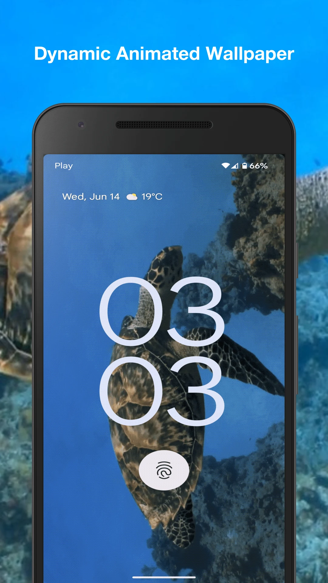 Turtle Live Wallpaper screenshot