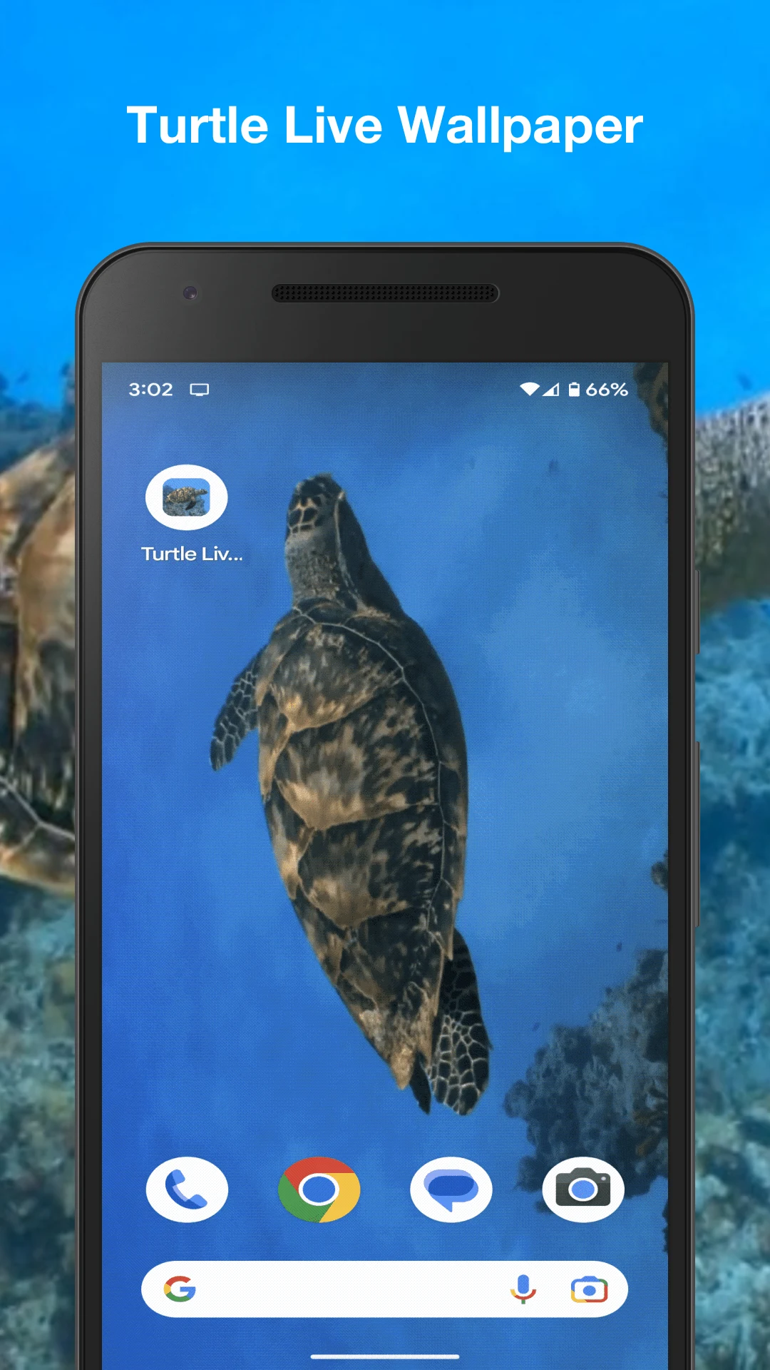 Turtle Live Wallpaper screenshot