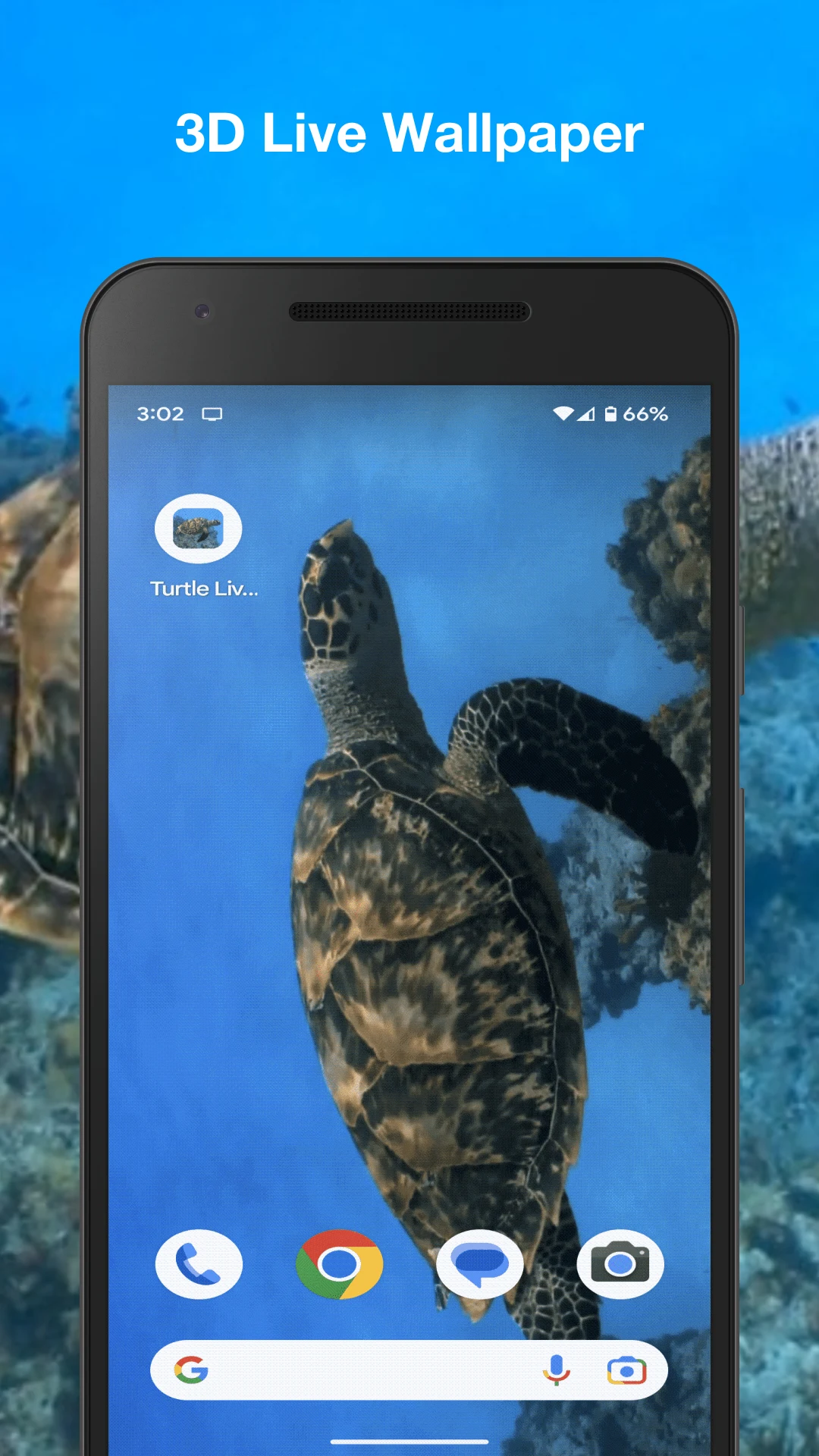 Turtle Live Wallpaper screenshot